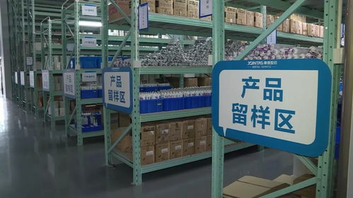 集泰股份 强化管理与创新，打造绿色工厂软实力与资产管理新标杆